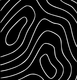 Topografia